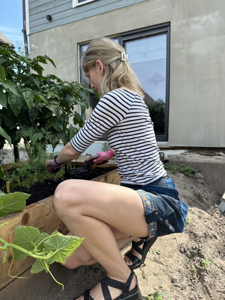 start to grow in raised garden beds