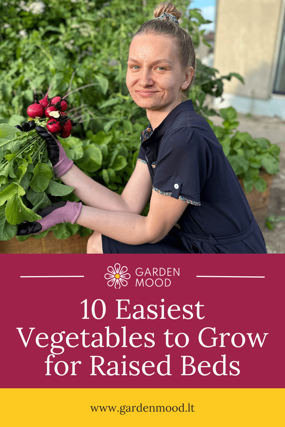 10 Easiest Vegetables to Grow for Raised Beds