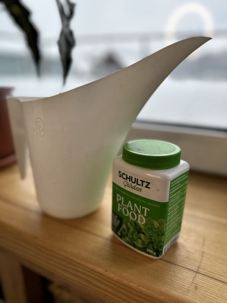 plants fertilization during winter season