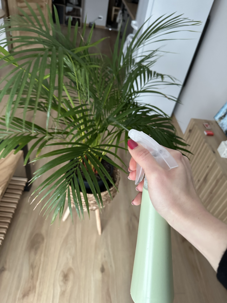 plants leaves irrigation