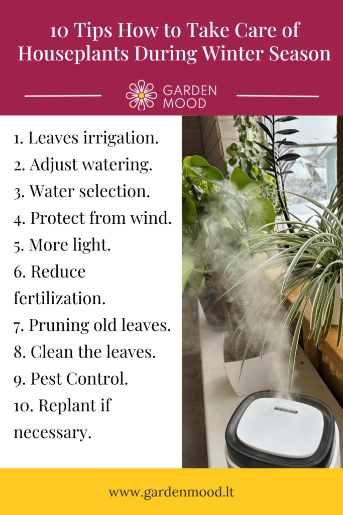 10 tips how to take care of homeplants during winter season