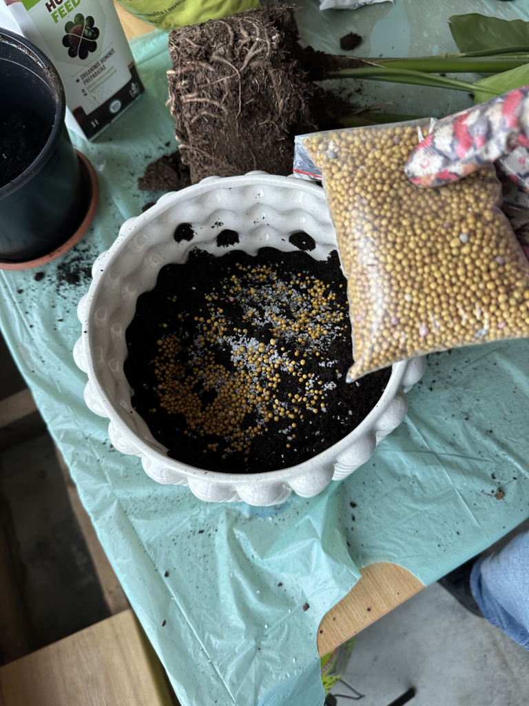 osmocote fertilisers