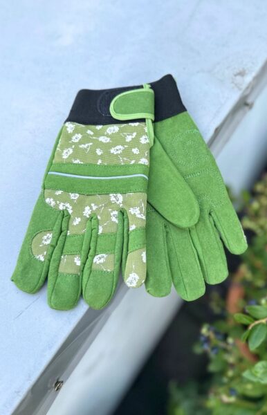 Garden gloves (with inner lining for warmth)