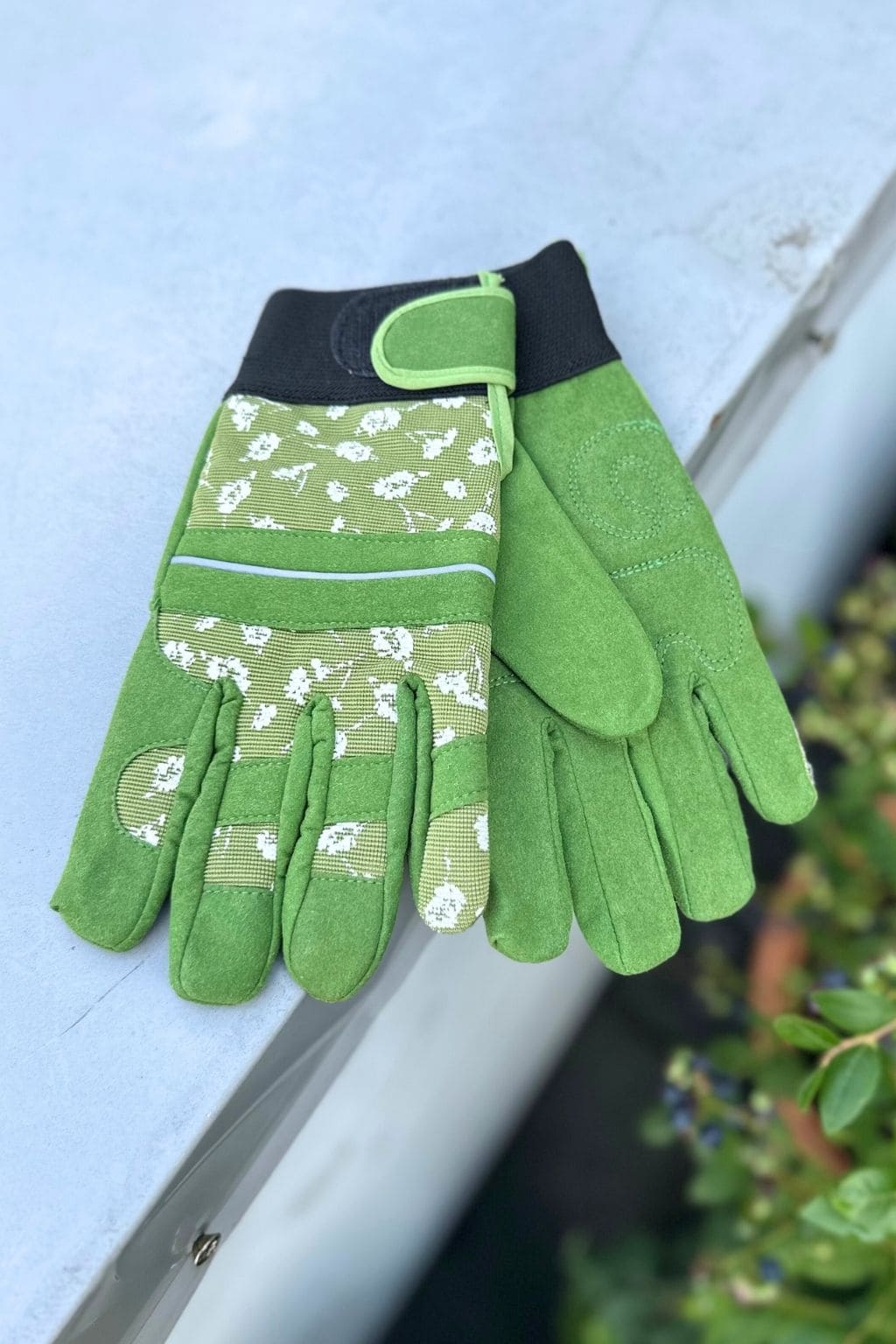 Garden gloves (with inner lining for warmth)