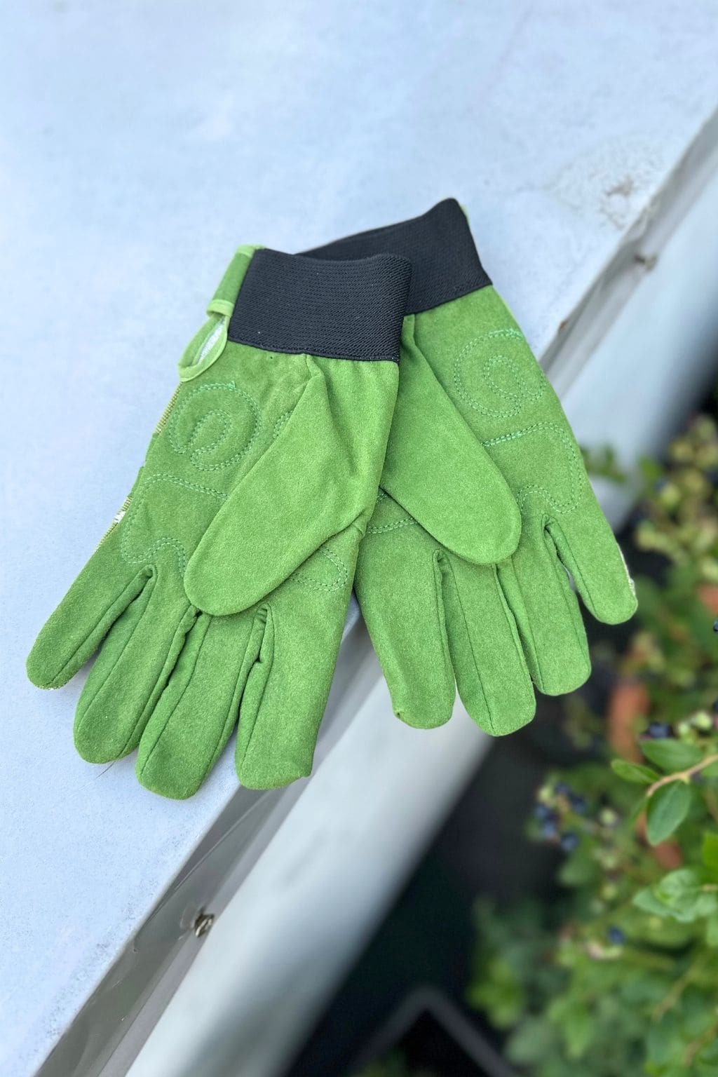 Garden gloves (with inner lining for warmth)