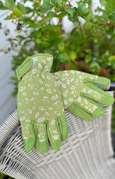 Gardening gloves (two sizes)