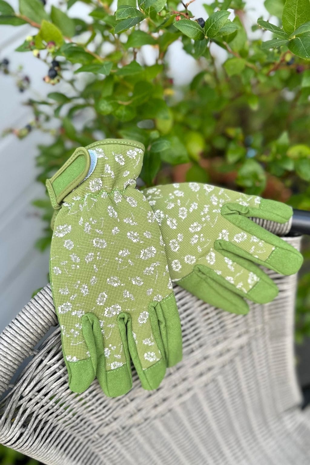 Gardening gloves (two sizes)